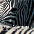 Cover Art for 9780790779973, The Life of Mammals by 