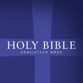 Cover Art for 9780007414086, Holy Bible: New Revised Standard Version (NRSV) Anglicised Edition with Daily Readings and Prayers from the Church of England's Common Worship by Collins