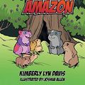 Cover Art for 9781481759571, Amazing Amazon by Kimberly Lyn Davis