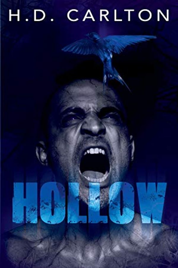 Cover Art for 9780359282463, Hollow by H. D. Carlton