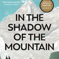 Cover Art for 9781913183806, In the Shadow of the Mountain by Silvia Vasquez-Lavado