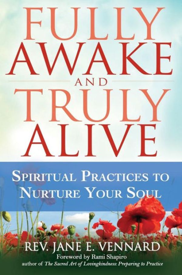 Cover Art for 9781594734731, Fully Awake and Truly Alive by Rev. Jane E. Vennard