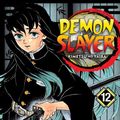 Cover Art for 9781974719471, Demon Slayer: Kimetsu no Yaiba, Vol. 12: The Upper Ranks Gather by Koyoharu Gotouge
