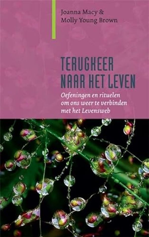 Cover Art for 9789062245185, Terugkeer naar het leven: oefeningen en rituelen om ons weer te verbinden met het levensweb (Paradigma) by Joanna Macy, Molly Young Brown