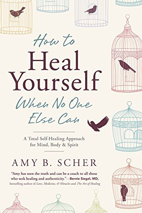 Cover Art for B019G00BJ4, How to Heal Yourself When No One Else Can: A Total Self-Healing Approach for Mind, Body, and Spirit by Amy B. Scher