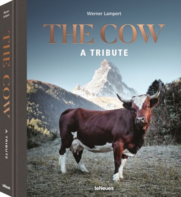 Cover Art for 9783961711840, The cow by Werner Lampert