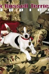 Cover Art for 9780763163006, Jack Russell Terrier Puppies Mini Wall Calendar: 2004 by Unknown