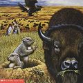 Cover Art for 9780439099172, One Day in the Prairie by Jean Craighead George