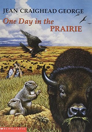 Cover Art for 9780439099172, One Day in the Prairie by Jean Craighead George