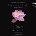 Cover Art for 9781101917329, A House Like a Lotus by Madeleine L'Engle, Emma Galvin