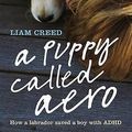 Cover Art for 9781848540484, A Puppy Called Aero by Liam Creed