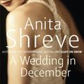 Cover Art for 9781405501972, A Wedding in December by Anita Shreve