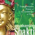 Cover Art for 9781604078916, Awakening Shakti by Sally Kempton