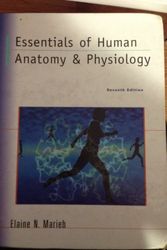 Cover Art for 9780131836631, Essentials of Human Anatomy And Physiology by Elaine Nicpon Marieb