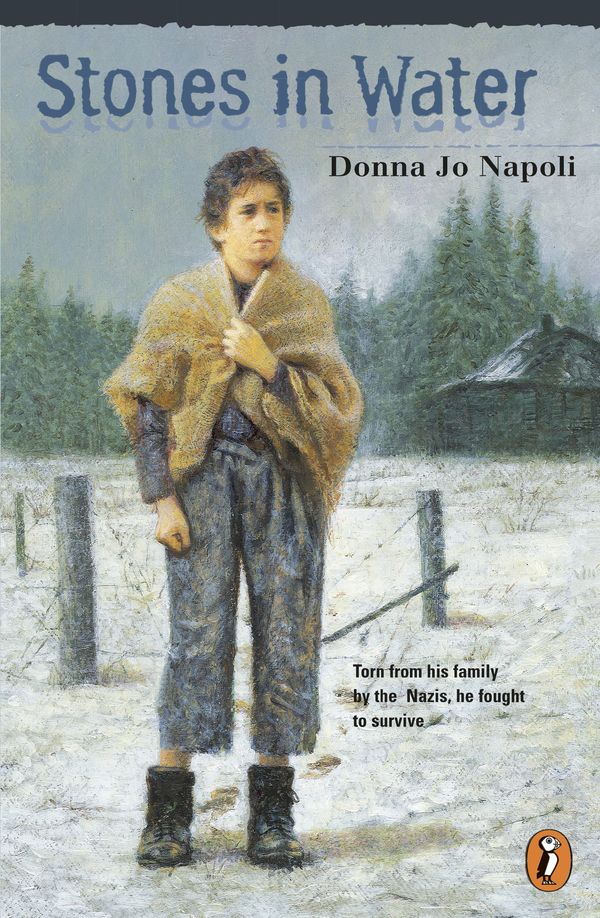 Cover Art for 9780141306001, Stones in Water by Donna Jo Napoli