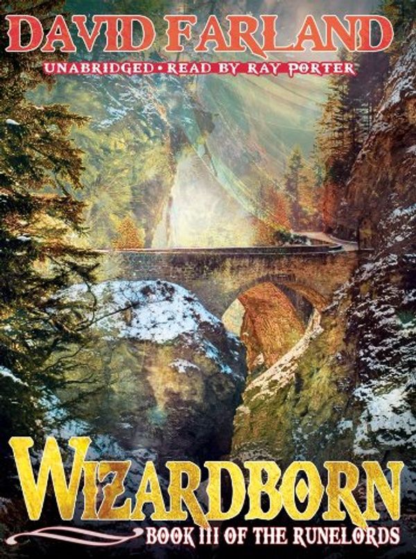 Cover Art for 9781441753076, Wizardborn by David Farland