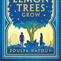 Cover Art for B09S12XQVC, As Long As the Lemon Trees Grow by Zoulfa Katouh