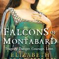 Cover Art for 9780751551853, The Falcons Of Montabard by Elizabeth Chadwick