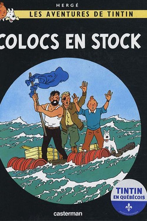 Cover Art for 9782203026551, Les Aventures de Tintin : Colocs en stock (French Edition) by Hergé