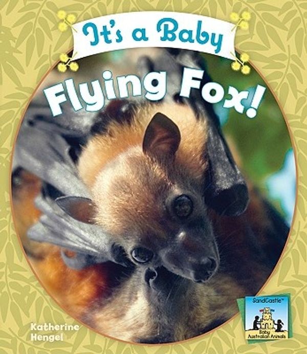 Cover Art for 9781604535754, It's a Baby Flying Fox! by Katherine Hengel