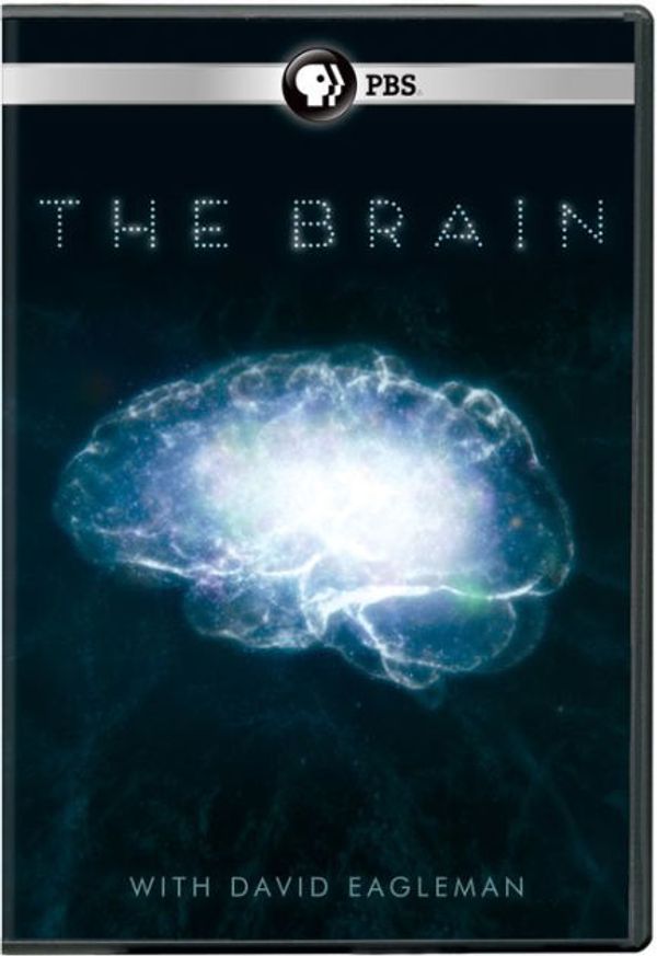 Cover Art for 0841887026079, The Brain with David Eagleman [Region 1] by 
