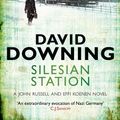 Cover Art for 9781906964498, Silesian Station by David Downing