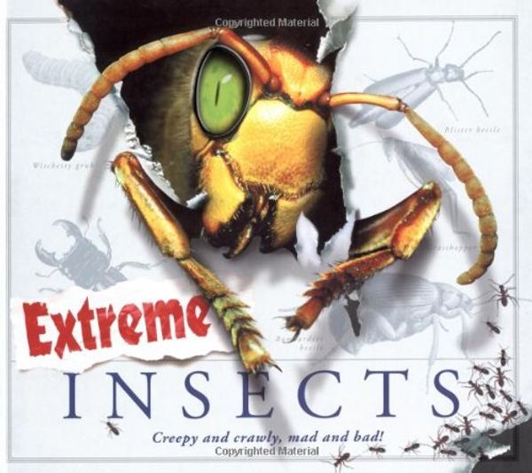 Cover Art for 9781847322944, Extreme Insects by Steve Parker