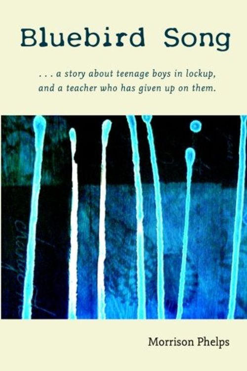 Cover Art for 9781492182924, Bluebird Song. . . a Story about Teenage Boys in Lockup, and... by Morrison Phelps