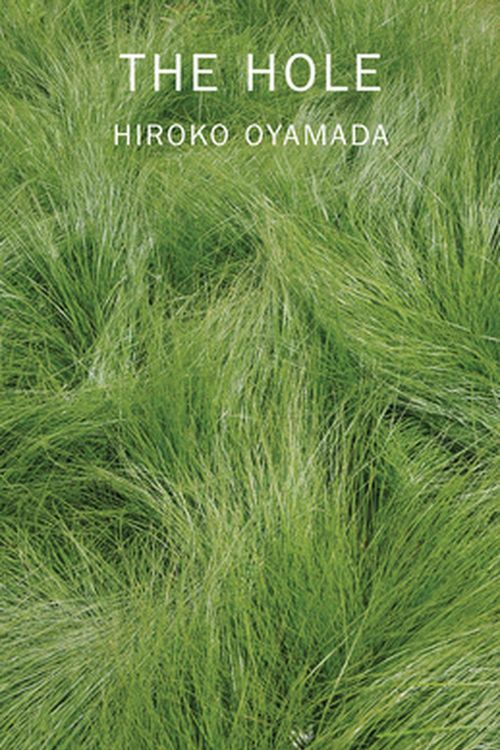 Cover Art for 9780811228879, The Hole by Hiroko Oyamada