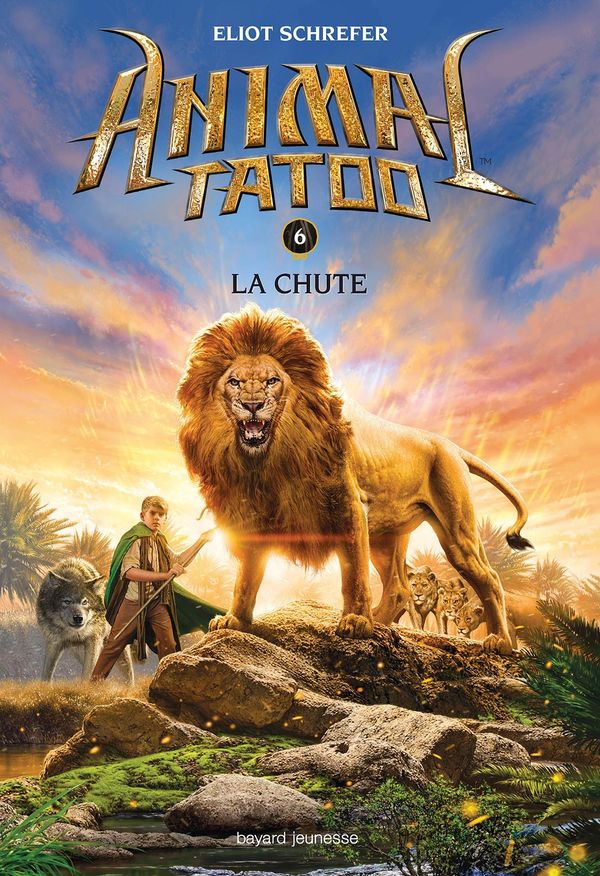 Cover Art for 9782747069496, La chute by Eliot Schrefer, Marie Leymarie