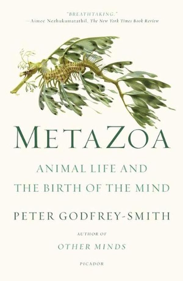 Cover Art for 9781250800268, Metazoa by Peter Godfrey-Smith