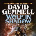 Cover Art for 9780345379030, Wolf in Shadow by David Gemmell