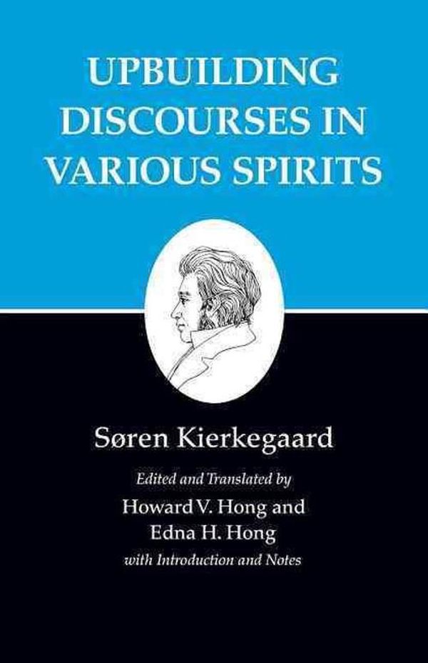 Cover Art for 9780691140773, Kierkegaard's Writings: Upbuilding Discourses in Various Spirits v. XV by Søren Kierkegaard