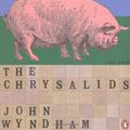 Cover Art for 9780241950043, The Chrysalids by John Wyndham