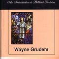 Cover Art for 9788173625381, Systematic Theology by Wayne Grudem