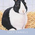 Cover Art for 9780340917862, Rabbit Race by Lucy Daniels