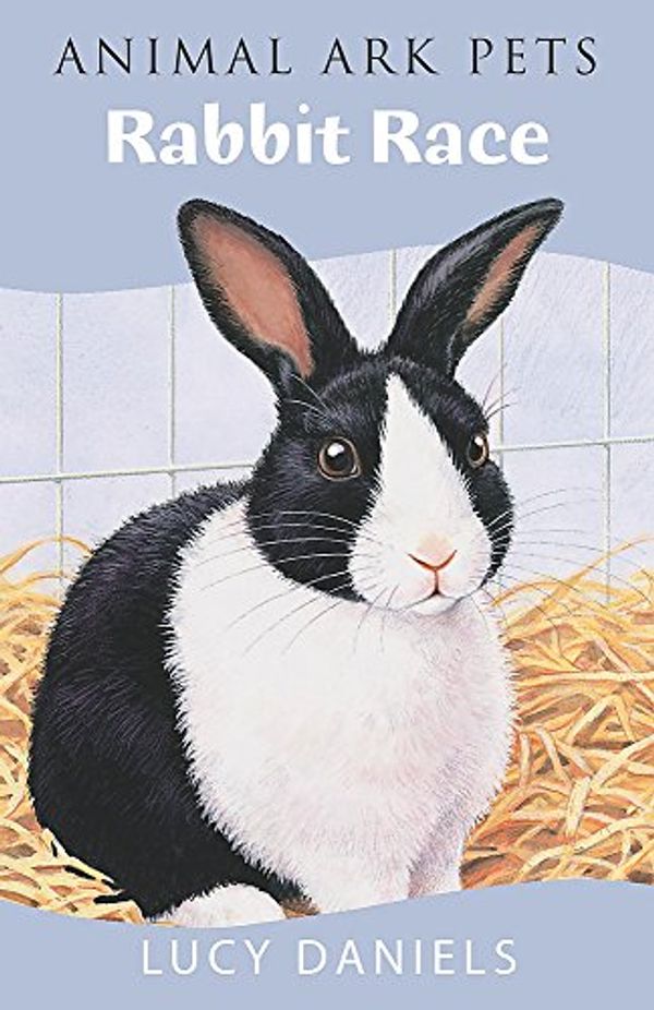 Cover Art for 9780340917862, Rabbit Race by Lucy Daniels