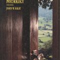 Cover Art for 9780534172381, Introduction to Psychology by James W. Kalat