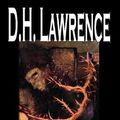 Cover Art for 9780809594986, Sons and Lovers by D. H. Lawrence