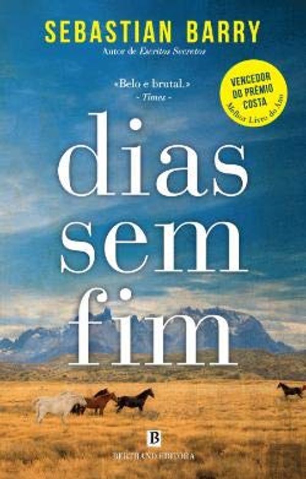 Cover Art for 9789722532938, Dias sem Fim by Sebastian Barry