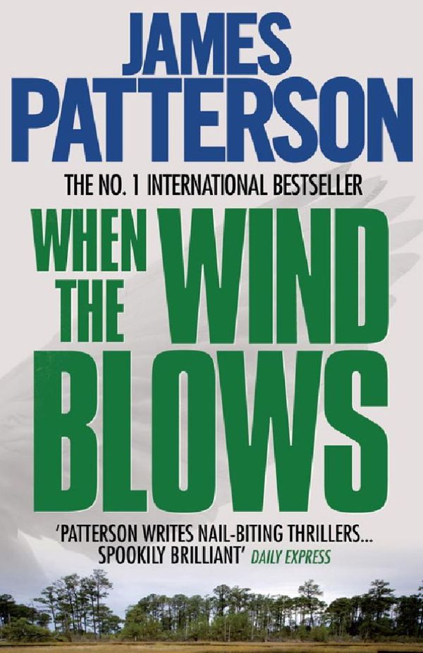 Cover Art for 9780755387366, When the Wind Blows by James Patterson