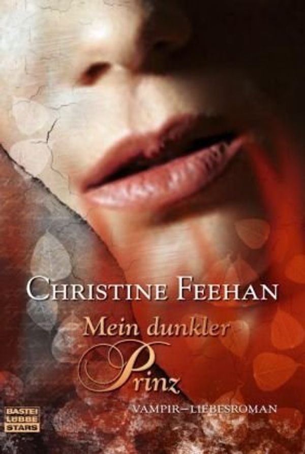 Cover Art for 9783404773107, Mein dunkler Prinz: Vampir-Liebesroman by Christine Feehan, Katja Thomsen