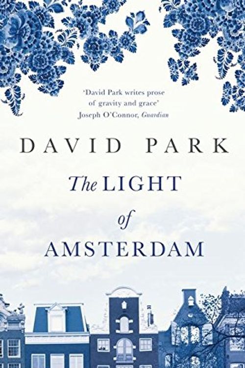Cover Art for 9781408821367, The Light of Amsterdam by David Park
