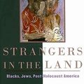 Cover Art for 9780674030695, Strangers in the Land by Eric J. Sundquist