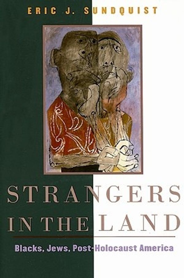 Cover Art for 9780674030695, Strangers in the Land by Eric J. Sundquist