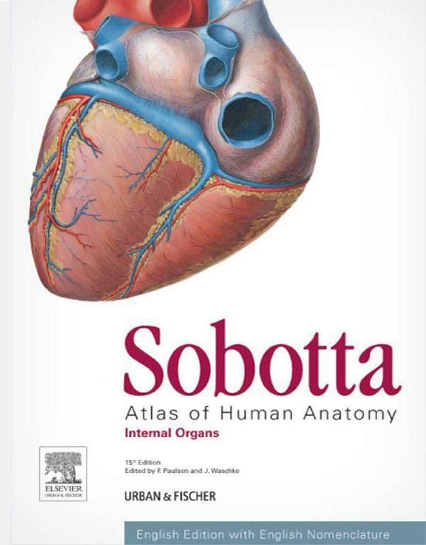 Cover Art for 9783437296789, Sobotta Atlas of Human Anatomy, Vol. 2, 15th ed, English by Friedrich Paulsen, Jens Waschke
