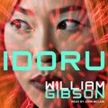 Cover Art for 9781977374608, Idoru by William Gibson