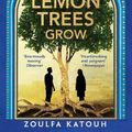 Cover Art for 9781526648549, As Long As the Lemon Trees Grow by Zoulfa Katouh