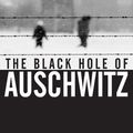 Cover Art for 9781509526239, The Black Hole of Auschwitz by Primo Levi