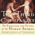Cover Art for 9780060984038, The Third Chimpanzee by Jared Diamond